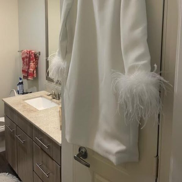 Tuckernuck Feather Sleeve Dress - Picture 4 of 4